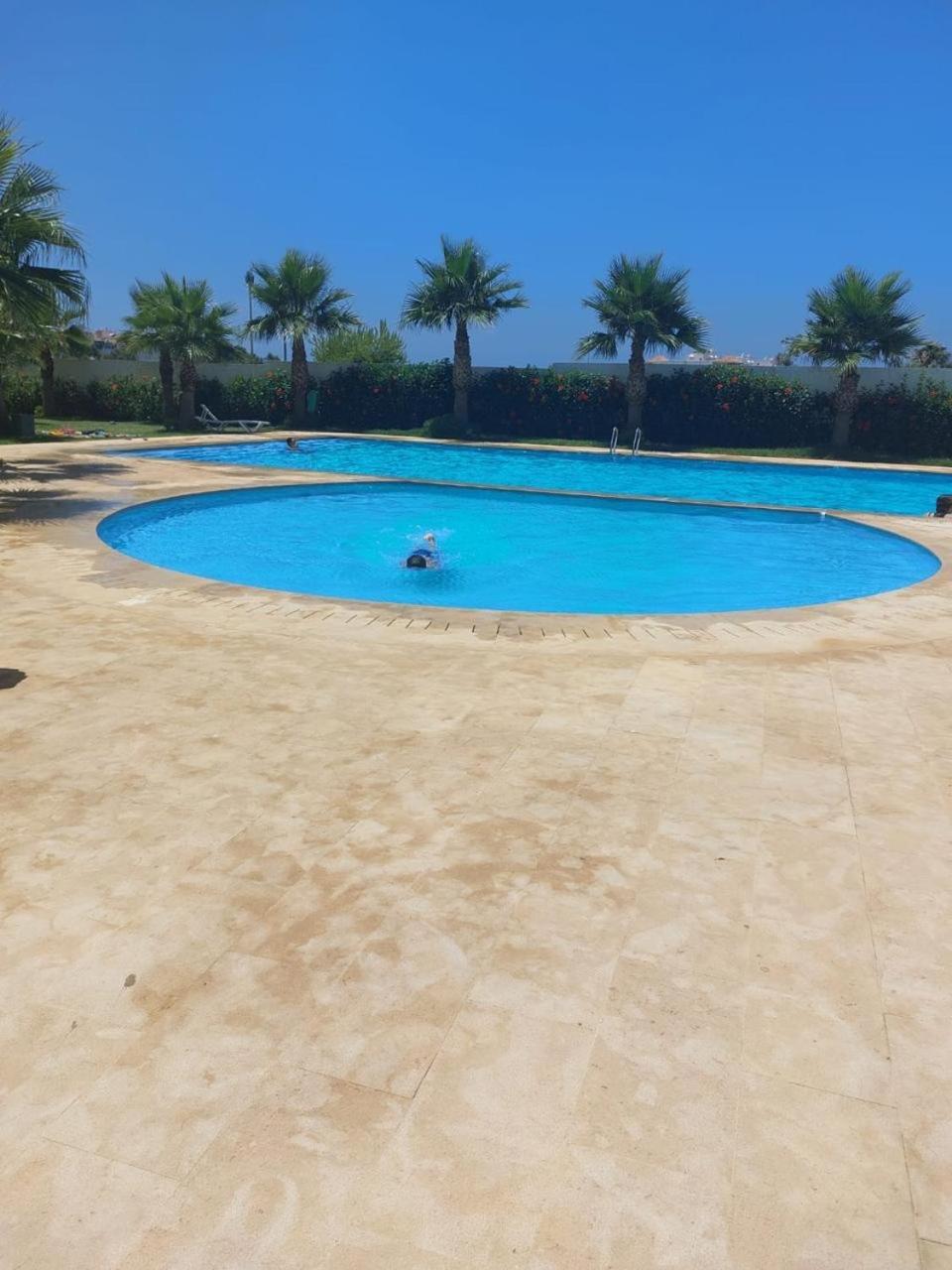 Appartement 1 Chambres Vue Pepiniere - Marina Golf Asilah Eksteriør billede